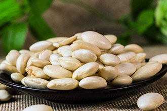 best white bean extract -HerbKey.jpg